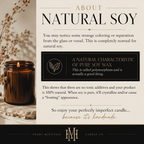 Fraser Fir — Winter Evergreen & Cedar Candle Collection