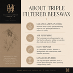 Fraser Fir — Winter Evergreen & Cedar Candle Collection