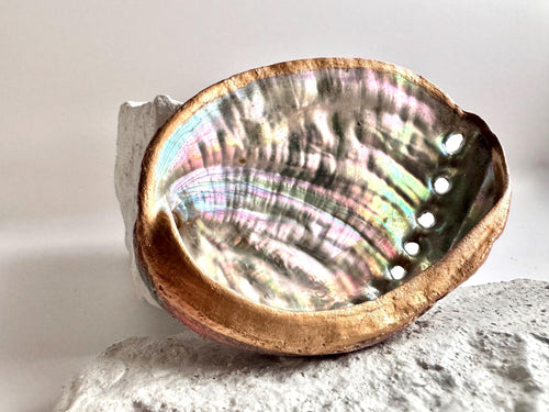 abalone shell for smudging rituals hand painted abalone shell for sage palo santo incense holder shell for cleansing spiritual tools smudge shell decor metaphysical altar shell smudge bowl smudge kit shell painted rainbow shell for herbs crystals witchcraft sage burning shell witch