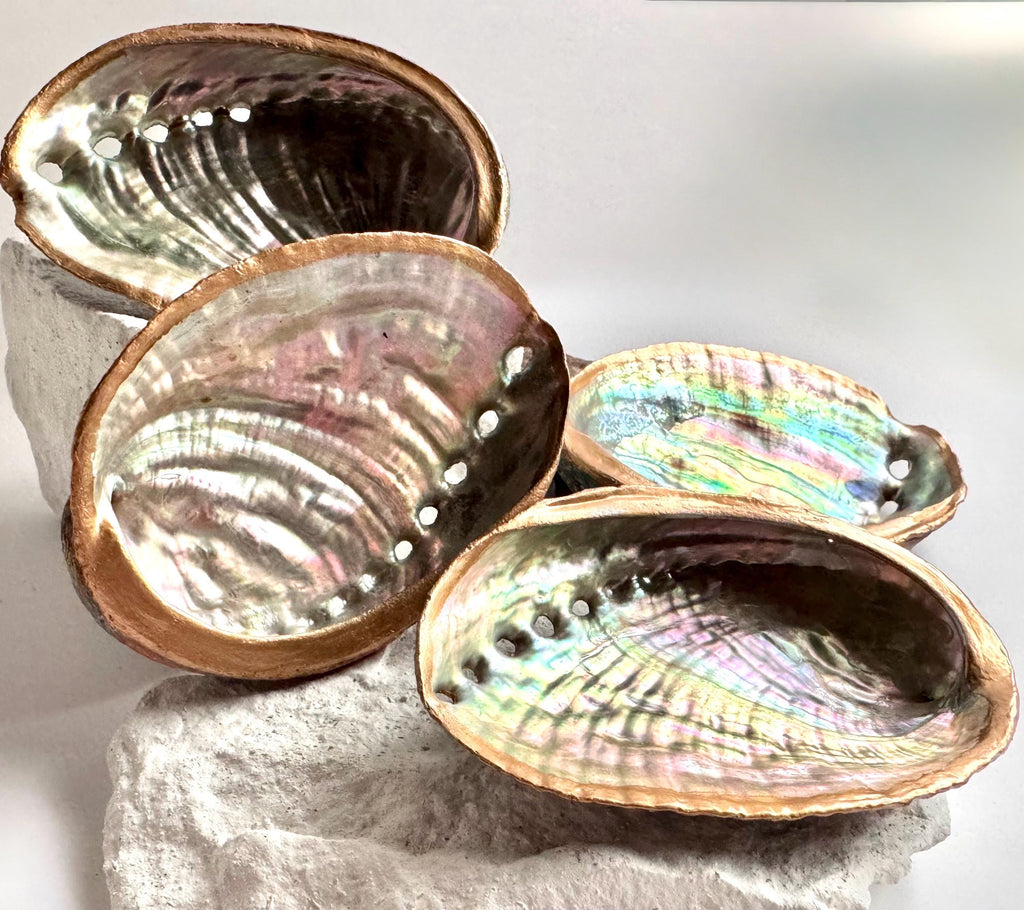 Abalone shell smudge bowl hand painted smudging shell best choice smudge bowl premium abalone shell ritual bowl sage burning bowl palo santo smudging dish spiritual cleansing bowl energy clearing ritual bowl meditation altar bowl manifestation ritual tools coastal home decor ocean decor beach house decor seaside decor ocean shell decor beach themed decor coastal bathroom decor birthday gift housewarming gift mothers day gift valentines gift christmas gift
