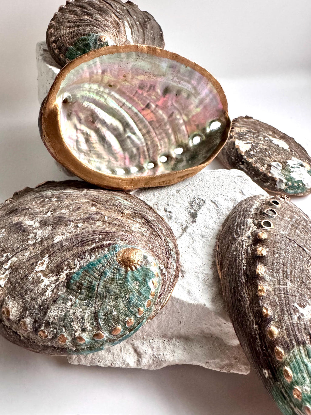Hand painted abalone shell smudge bowl abalone smudging shell best choice smudge bowl premium spiritual cleansing bowl sage burning bowl palo santo smudging bowl energy clearing ritual bowl meditation altar bowl manifestation ritual tools coastal decor beach house decor ocean shell decor seaside home decor beach themed decor coastal shelf decor ocean decor birthday gift housewarming gift mothers day gift valentines gift christmas gift wedding gift