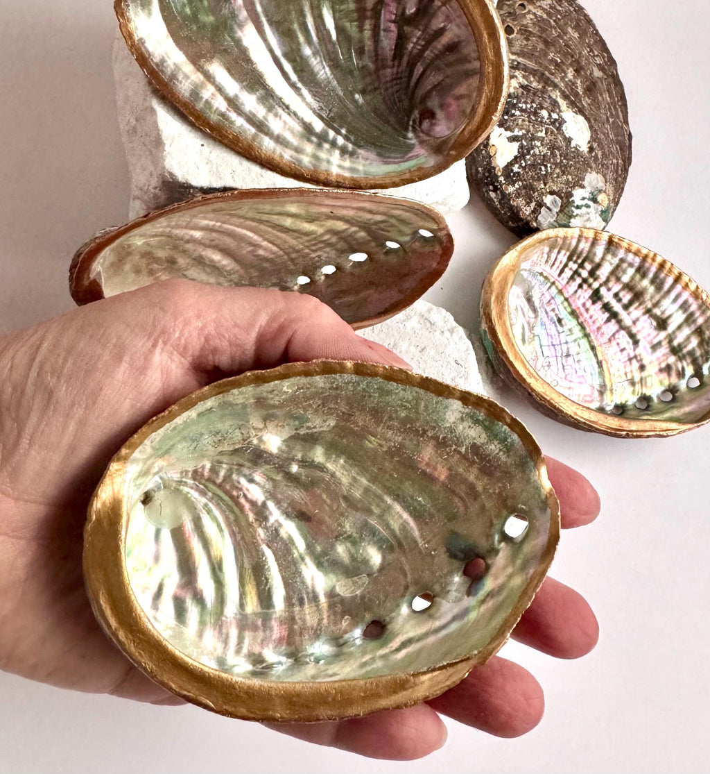Abalone shell smudge bowl hand painted abalone smudging shell best choice smudging bowl premium ritual bowl sage burning bowl palo santo smudging dish spiritual cleansing bowl energy clearing ritual bowl meditation altar bowl manifestation ritual tools ocean decor coastal decor beach house decor seaside decor ocean shell decor beach themed decor coastal bathroom decor birthday gift housewarming gift mothers day gift valentines gift christmas gift