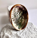 Hand painted abalone shell smudge bowl abalone smudging shell best choice smudging bowl premium spiritual cleansing bowl sage smudge bowl palo santo smudging dish energy clearing ritual bowl meditation altar bowl manifestation ritual tools coastal decor beach house decor ocean shell decor seaside decor coastal home accent beach themed decor coastal bathroom decor birthday gift housewarming gift mothers day gift valentines gift christmas gift wedding gift