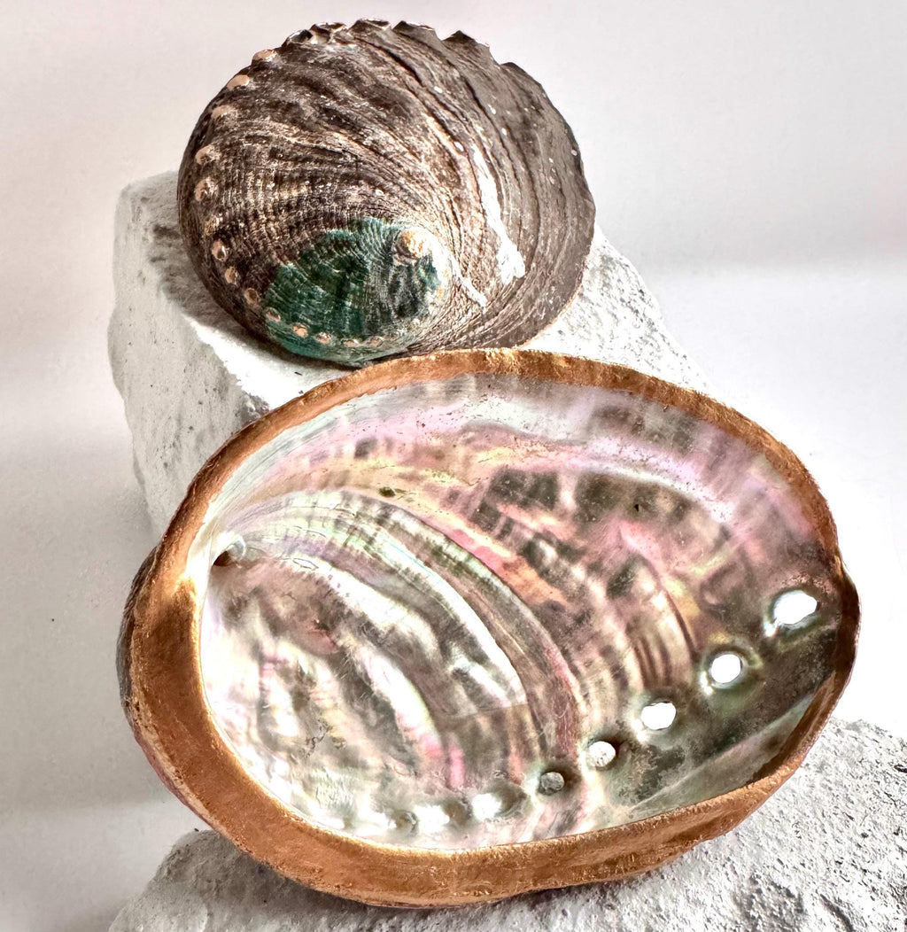 Abalone shell smudge bowl hand painted abalone smudging bowl best choice smudging dish premium spiritual cleansing bowl sage burning bowl palo santo smudging bowl energy clearing ritual bowl meditation altar bowl manifestation ritual tools coastal home decor ocean decor beach house decor seaside decor ocean shell decor coastal shelf decor beach themed decor birthday gift housewarming gift mothers day gift valentines gift christmas gift wedding gift