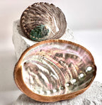 Abalone shell smudge bowl hand painted abalone smudging bowl best choice smudging dish premium spiritual cleansing bowl sage burning bowl palo santo smudging bowl energy clearing ritual bowl meditation altar bowl manifestation ritual tools coastal home decor ocean decor beach house decor seaside decor ocean shell decor coastal shelf decor beach themed decor birthday gift housewarming gift mothers day gift valentines gift christmas gift wedding gift