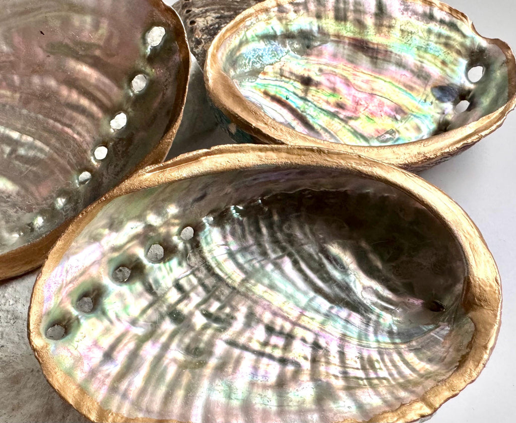 Hand painted abalone shell smudge bowl abalone smudging shell best choice smudge bowl premium ritual bowl sage burning bowl palo santo smudging dish spiritual cleansing bowl energy clearing meditation bowl manifestation ritual tools ocean decor beach house decor coastal decor seaside decor ocean shell decor beach themed decor coastal shelf decor birthday gift housewarming gift mothers day gift valentines gift christmas gift wedding gift hostess gift