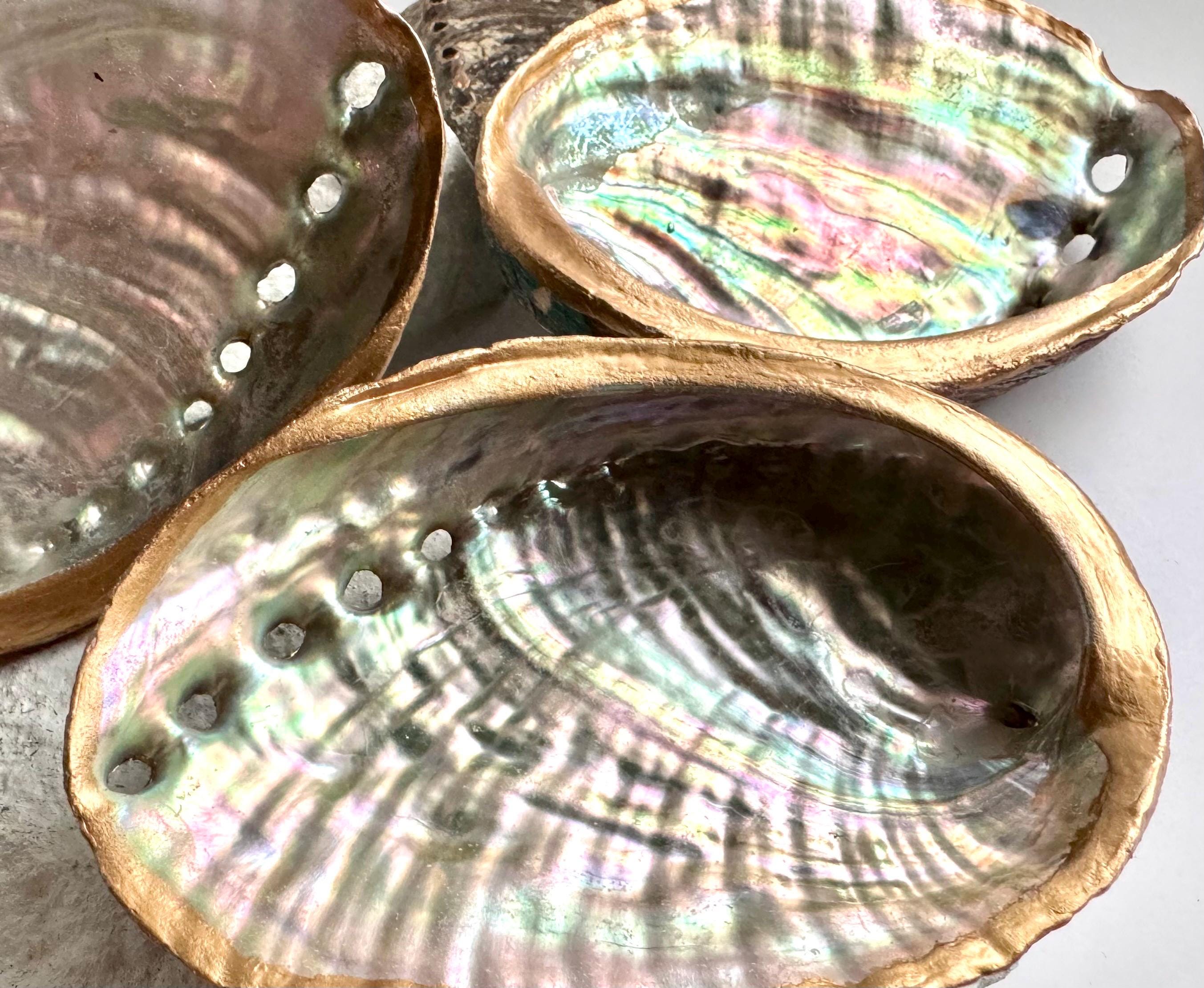 Hand painted abalone shell smudge bowl abalone smudging shell best choice smudge bowl premium ritual bowl sage burning bowl palo santo smudging dish spiritual cleansing bowl energy clearing meditation bowl manifestation ritual tools ocean decor beach house decor coastal decor seaside decor ocean shell decor beach themed decor coastal shelf decor birthday gift housewarming gift mothers day gift valentines gift christmas gift wedding gift hostess gift